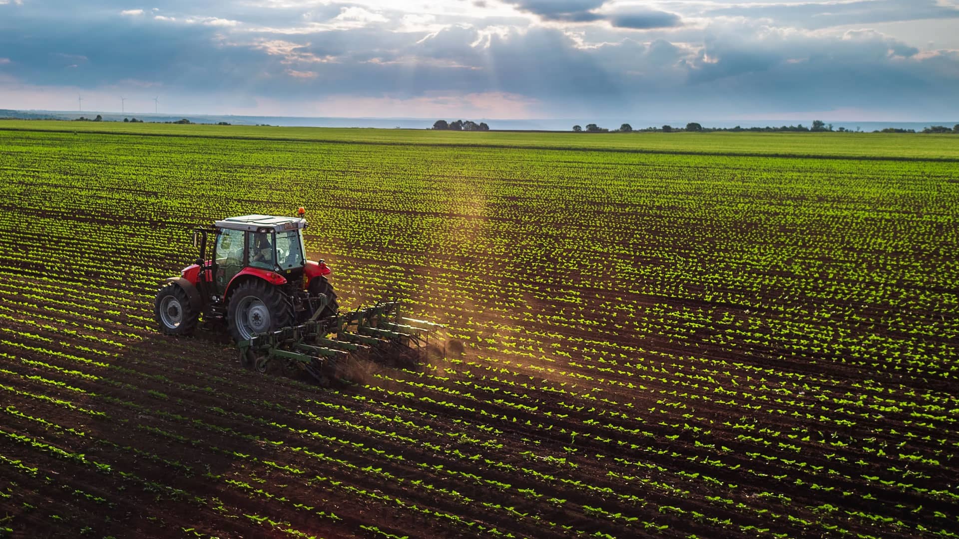 licencia-vehiculo-agricola-BN